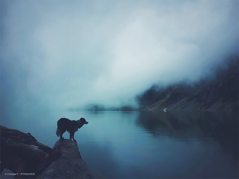 iPhone Photography Awards 2023 iPhone Photography Awards 2023