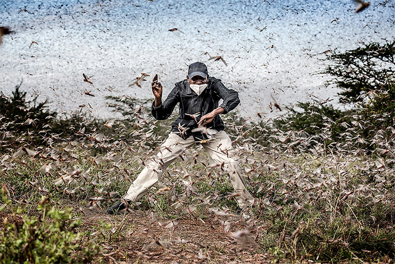 Sony World Photography Awards 2023- Professional Sony World Photography Awards 2023- Professional