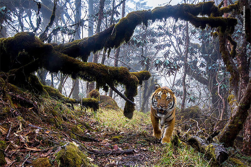 Wildlife Photographer of the Year 2023 Wildlife Photographer of the Year 2023