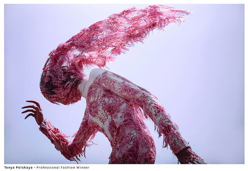 Fine Art Photography Awards 2022-2023 Fine Art Photography Awards 2022-2023