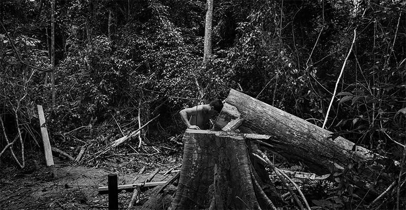 13th Carmignac Photojournalism Award 13th Carmignac Photojournalism Award